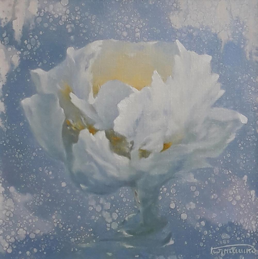 Delicate white peony oil painting by Vasily Korkishko on blue background