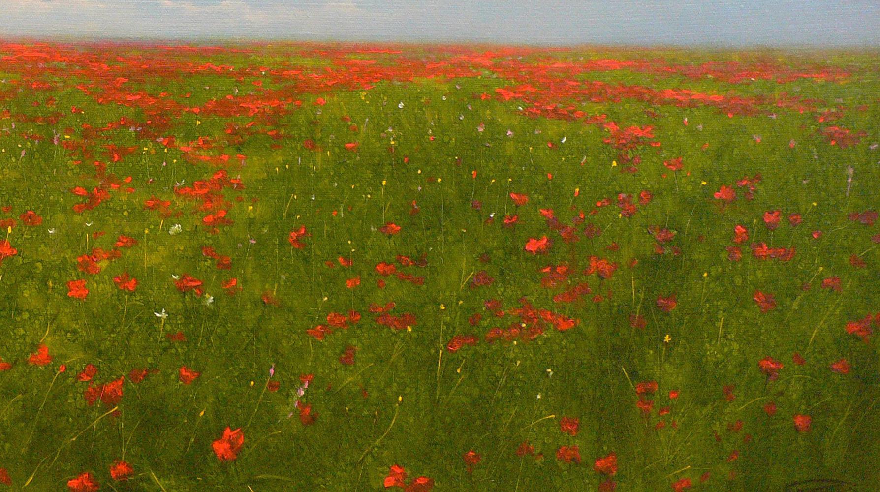 Oil painting of blooming red poppy field by Vasily Korkishko