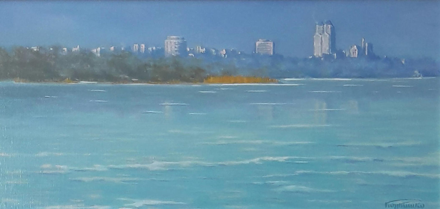 Oil painting overlooking the city by Vasily Korkishko serene coastal view