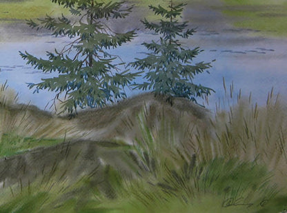 Watercolor painting of green pine trees by river coast by Valery Savenets