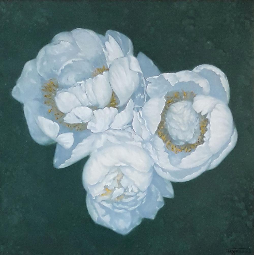 Oil painting of three white peonies by Vasily Korkishko