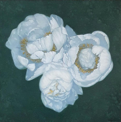 Oil painting of three white peonies by Vasily Korkishko