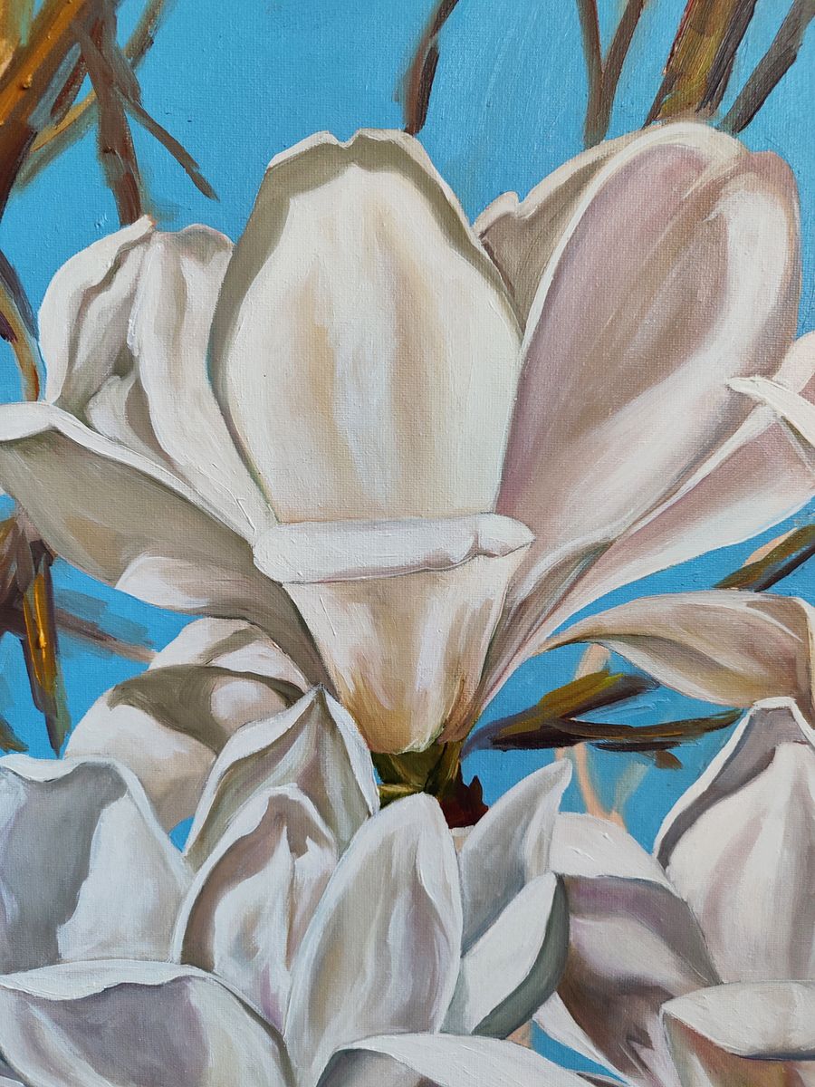 Oil painting White Magnolias Oksana Sklym with soft white pink petals on blue