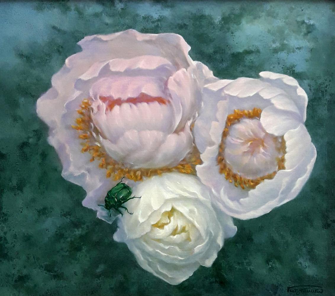 Delicate pale pink peonies with golden centers by Vasily Korkishko on teal background