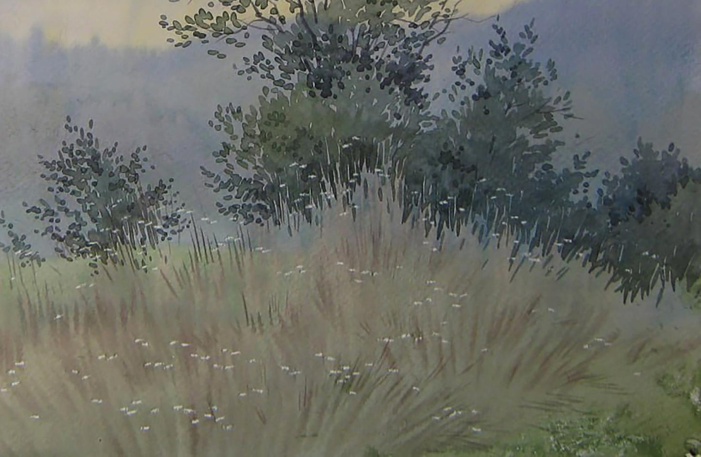 Watercolor painting Morning in nature by Valery Savenets, tall grass field