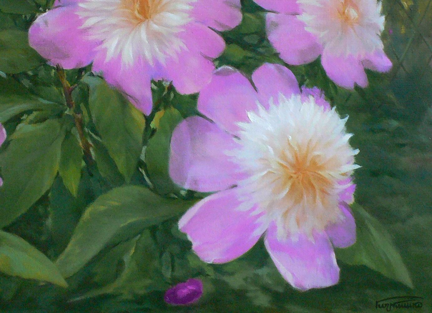Oil painting of bright pink and white peonies by Vasily Korkishko