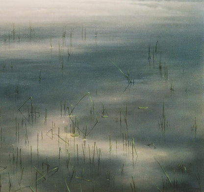 Oil painting Foggy morning by the river by Vasily Korkishko