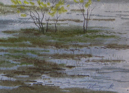 Watercolor painting The river rose in the field by Valery Savenets marsh landscape