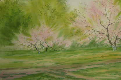 Watercolor painting of cherry blossoms by Valery Savenets