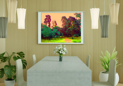 Nature Landscape 