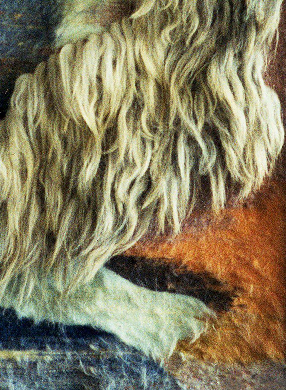 Fluffy cream dog on Handmade Tapestry Autumn night Vasily Korkishko