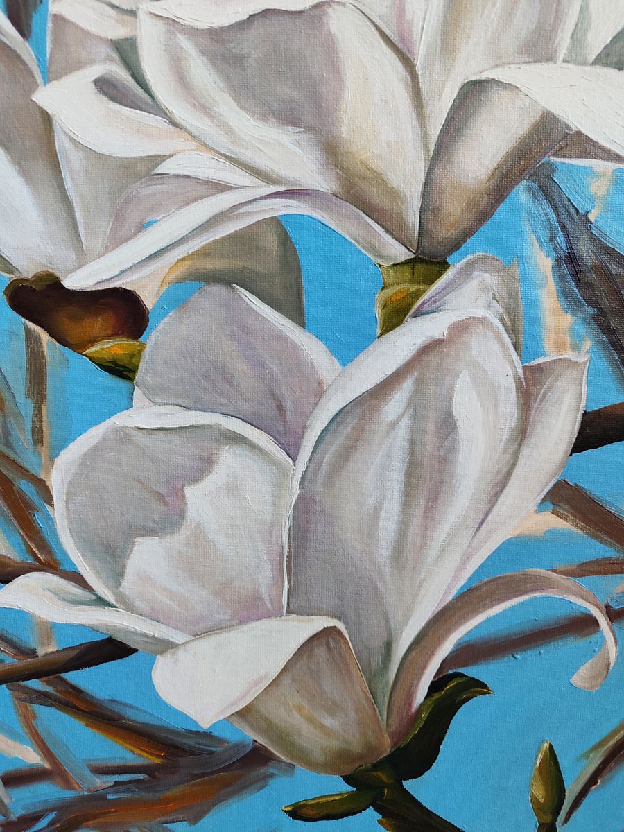 Oil painting White Magnolias Oksana Sklym with white blossoms on blue