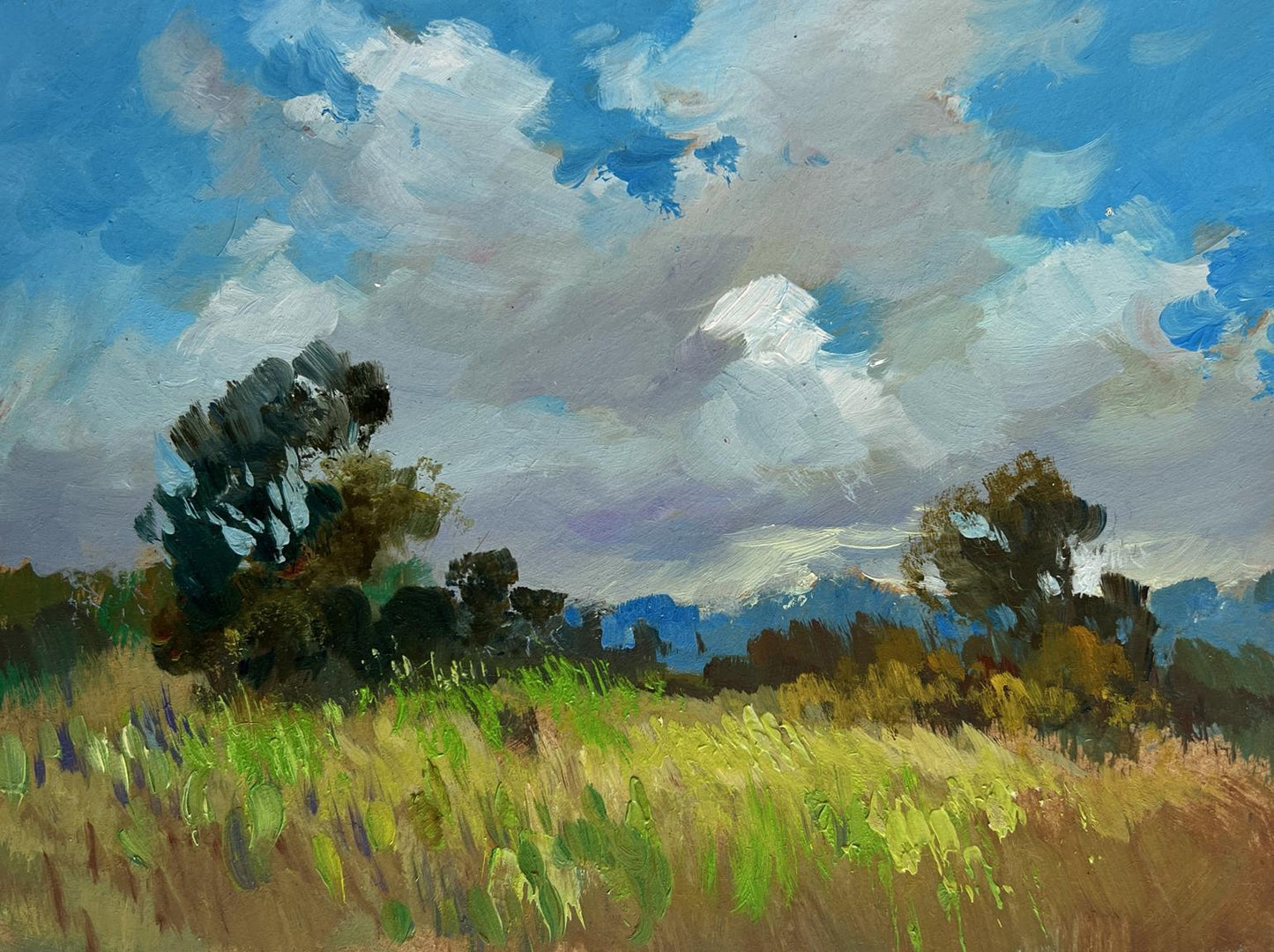 Vibrant impressionist oil painting of sunlit summer meadow by Yuriy Suprunchuk