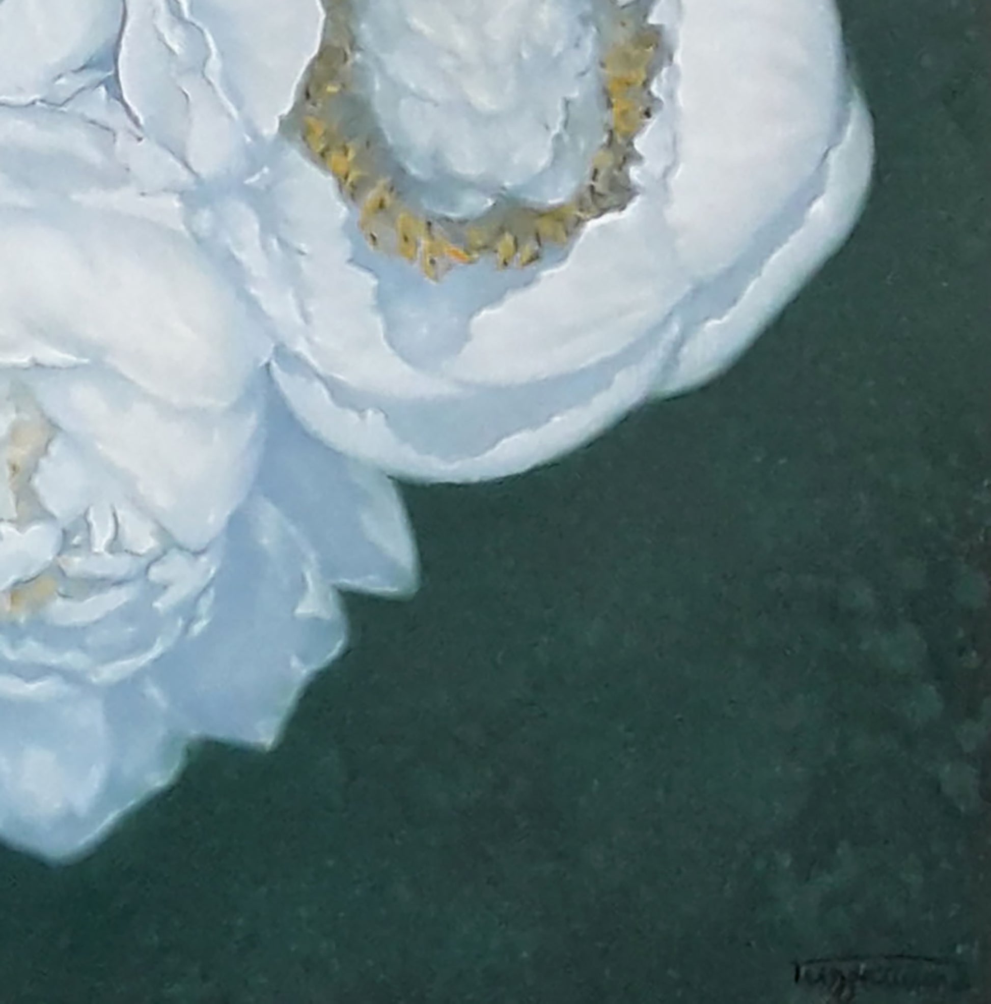 Oil painting of white peony flowers by Vasily Korkishko