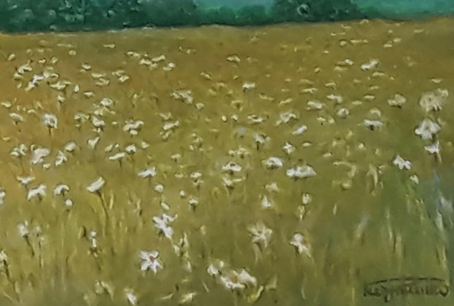 Impressionistic oil painting of white daisies in golden summer grass by Vasily Korkishko