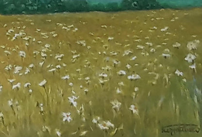 Impressionistic oil painting of white daisies in golden summer grass by Vasily Korkishko