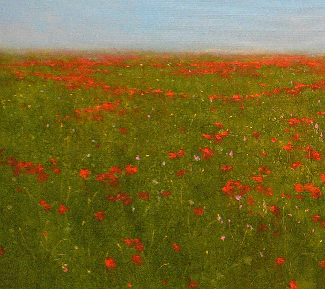 Oil painting of blooming red poppy field by Vasily Korkishko