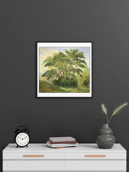 trees