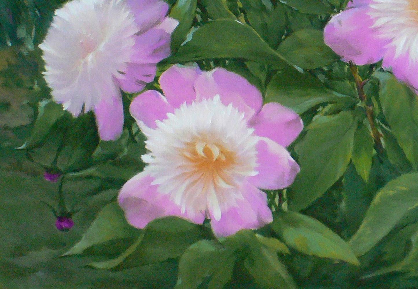 Oil painting of delicate pink peony by Vasily Korkishko