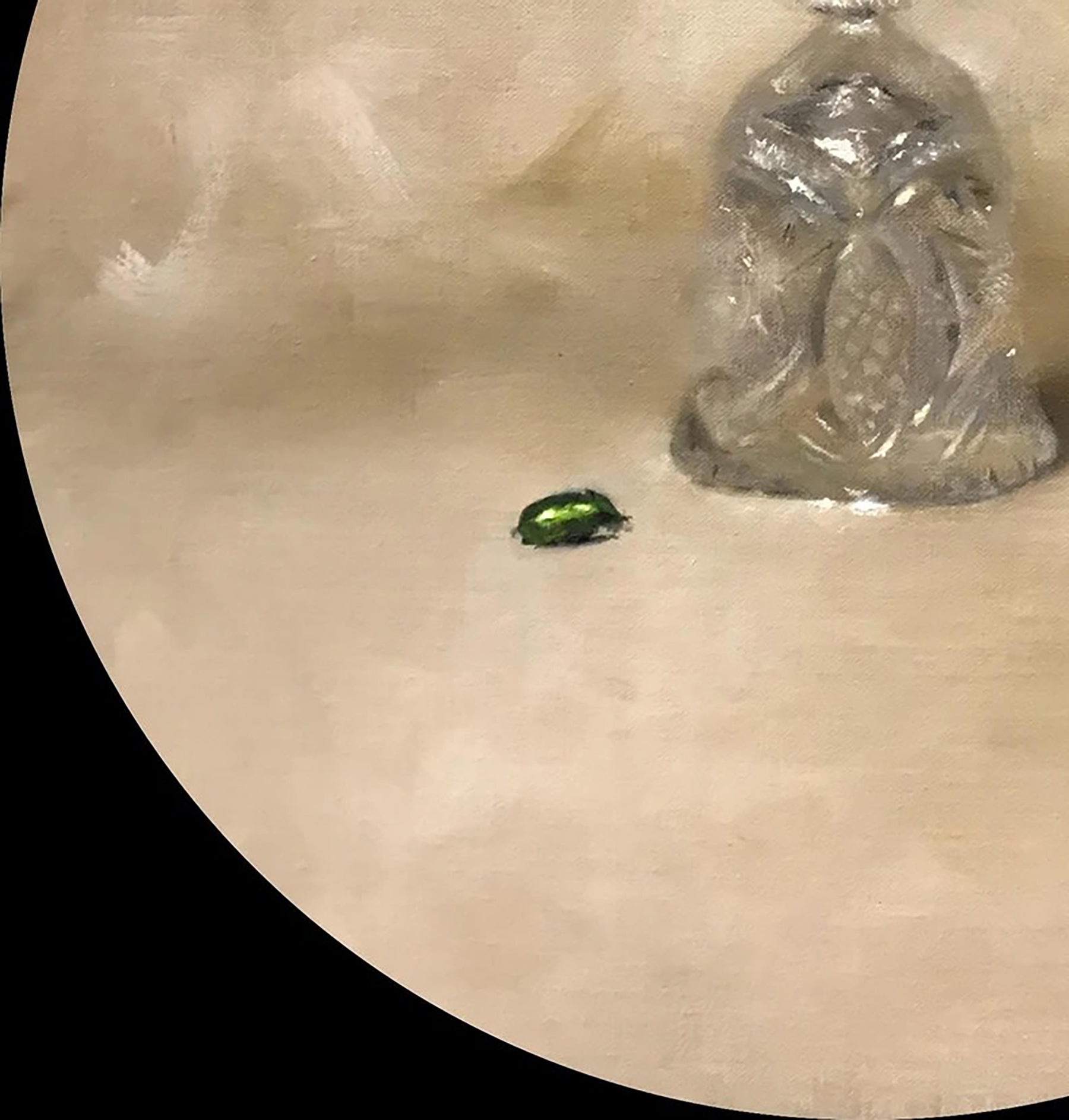 Oil painting of iridescent green jewel beetle on table by Annam Butt