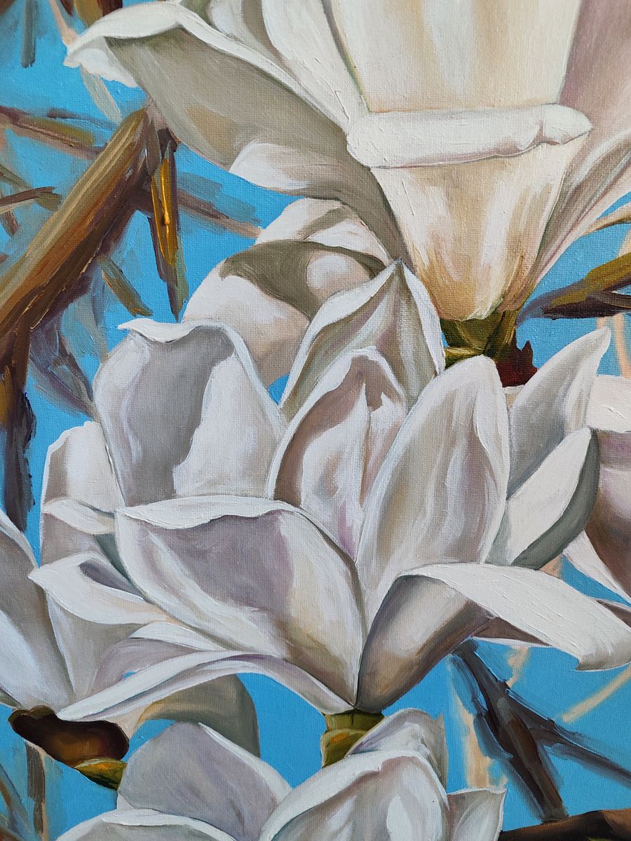 Oil painting White Magnolias Oksana Sklym close-up with white petals on blue