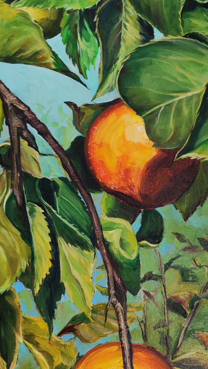 Oil painting of ripe orange persimmon on tree by Oksana Sklym