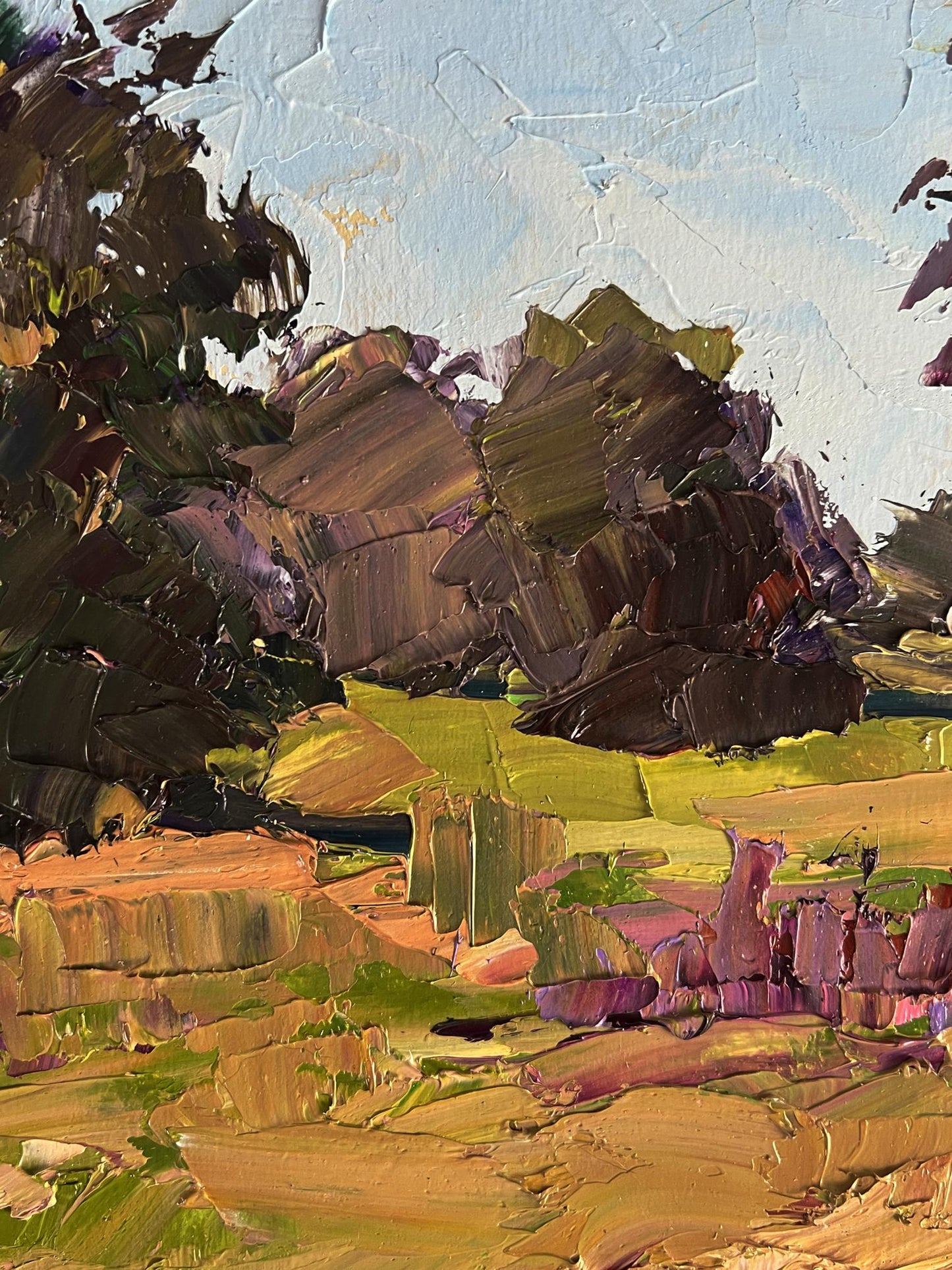 Oil painting In the summer meadows by Boris Serdyuk impressionist textured artwork