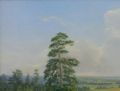 Oil painting of tall solitary pine tree by Vasily Korkishko