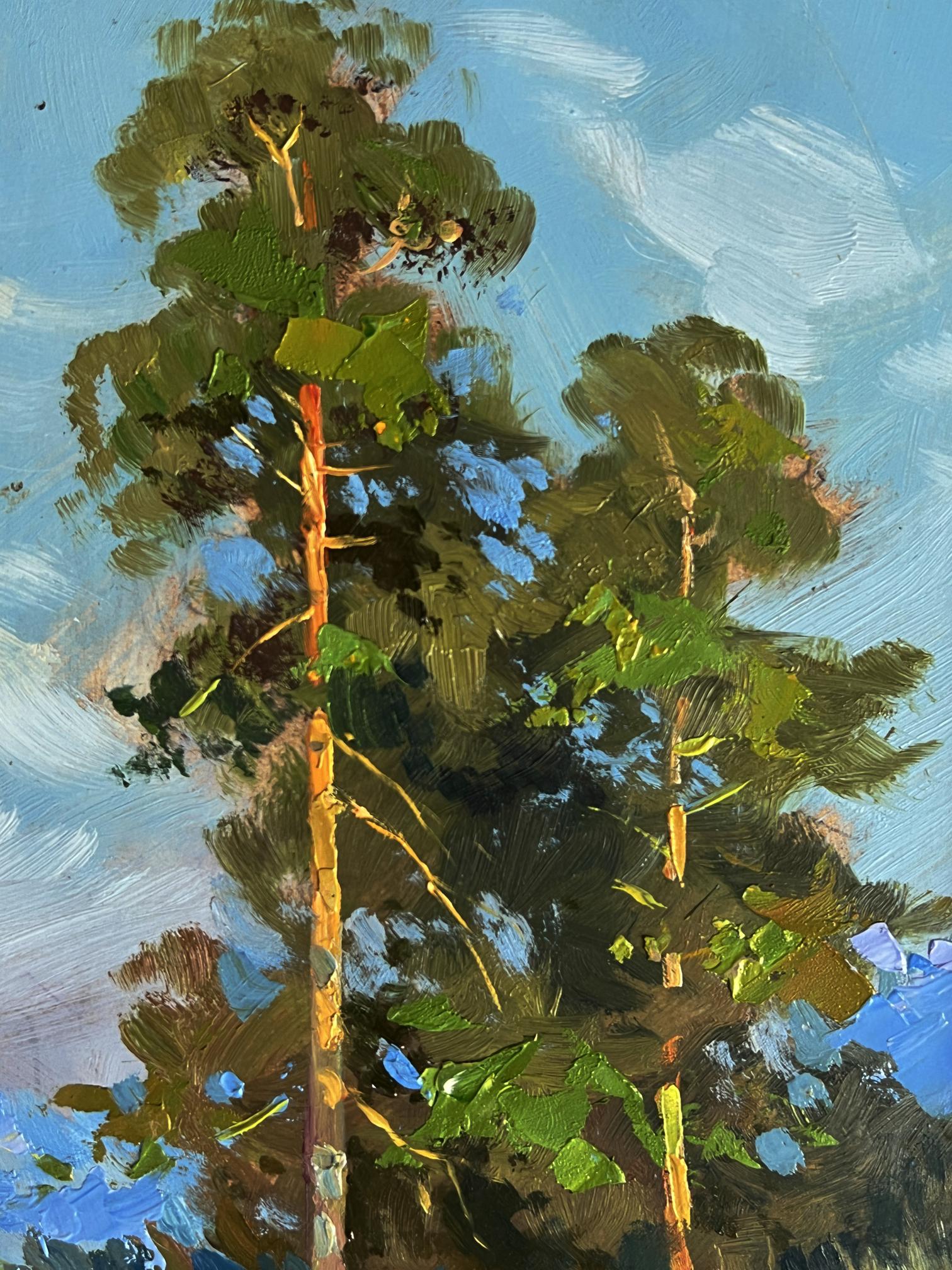 Vibrant impressionist oil painting of pine trees by Yuriy Suprunchuk