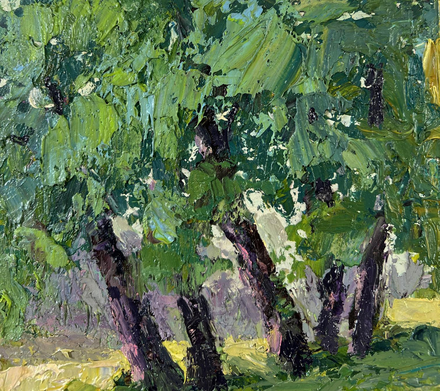 Oil painting In the sunlight by Boris Serdyuk: impressionist olive trees