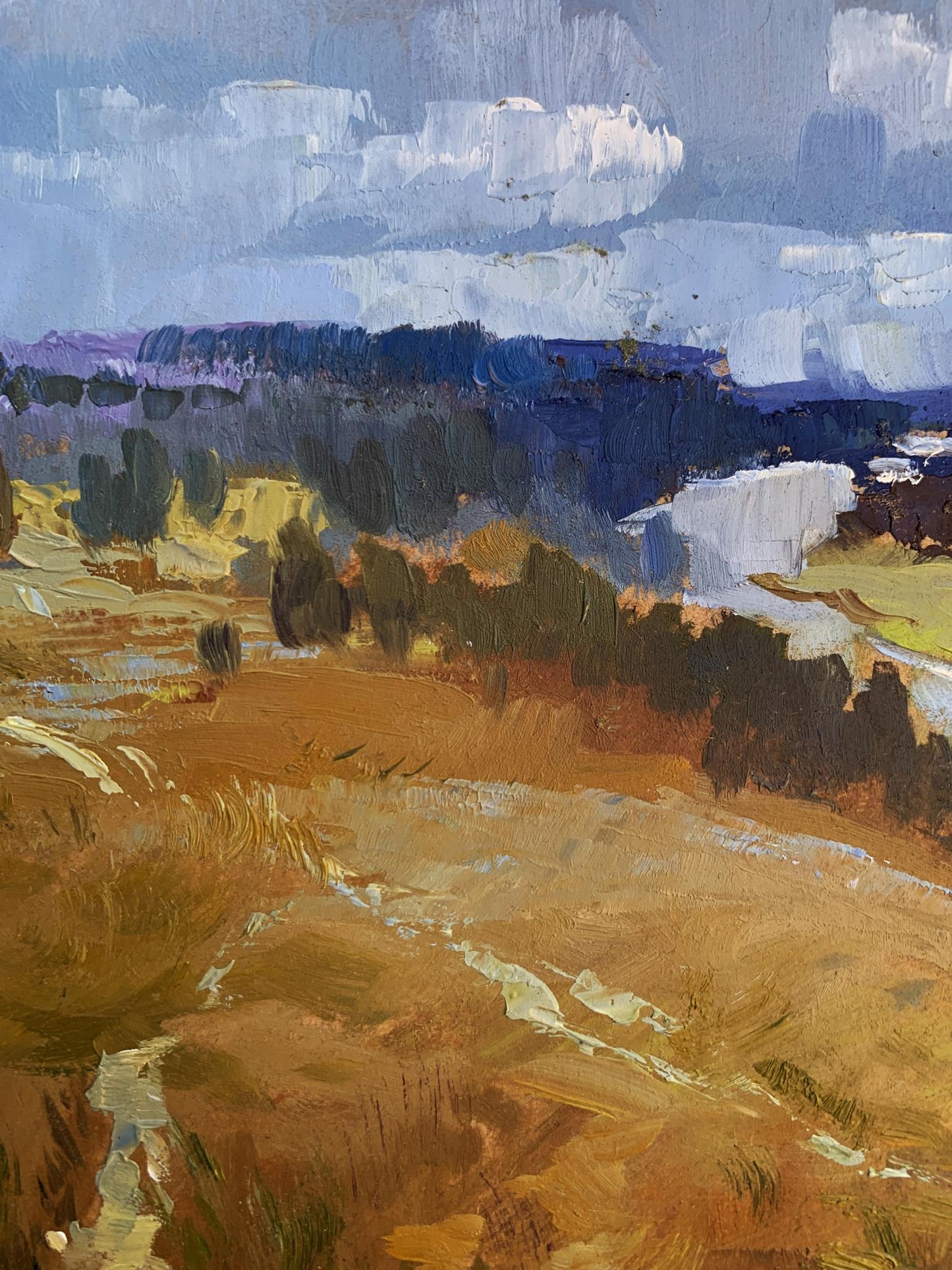 Oil painting by Yuriy Suprunchuk: river flows into orange fields and hills