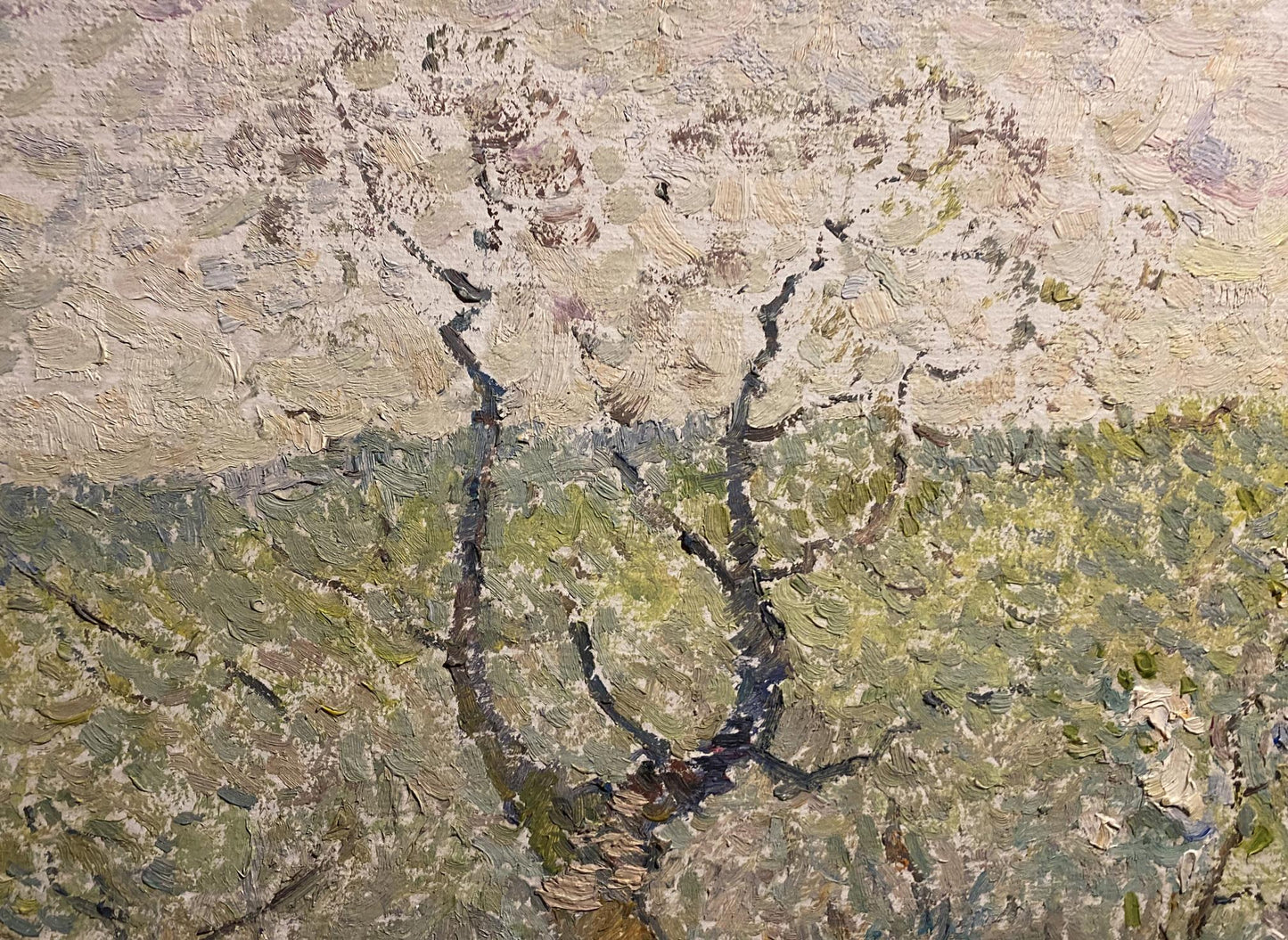 Oil painting Spring by Viktor Sevastiyanov: textured tree with gnarled branches
