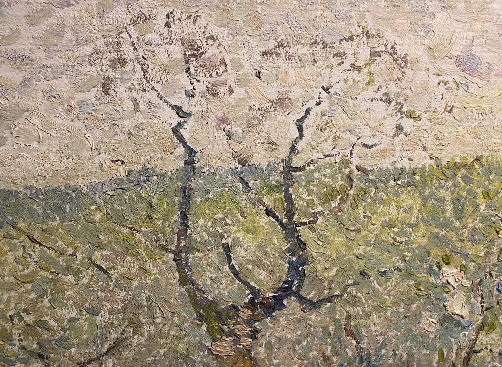 Oil painting Spring by Viktor Sevastiyanov: textured tree with gnarled branches