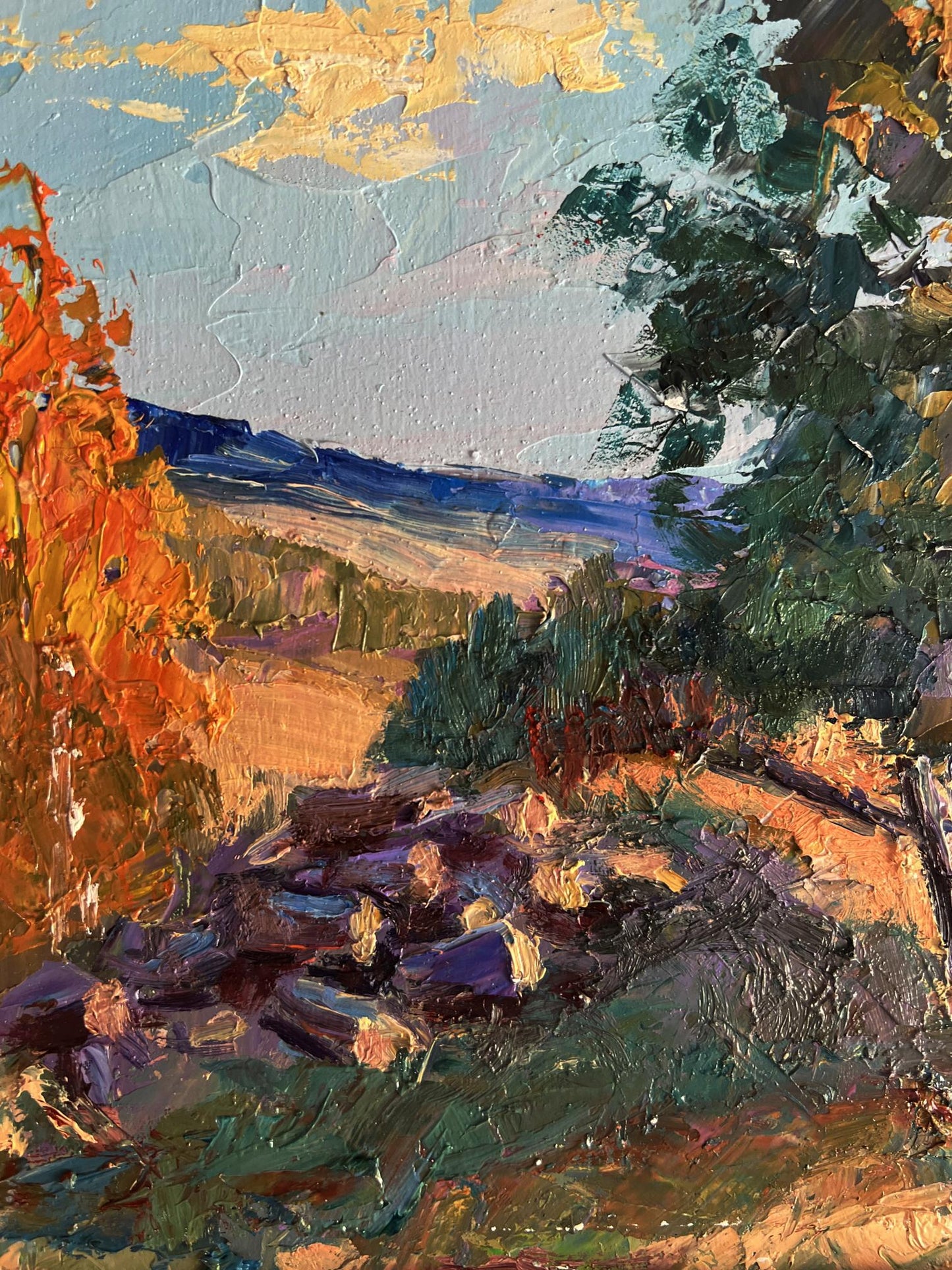 Oil painting House on a hill by Boris Serdyuk impressionist landscape