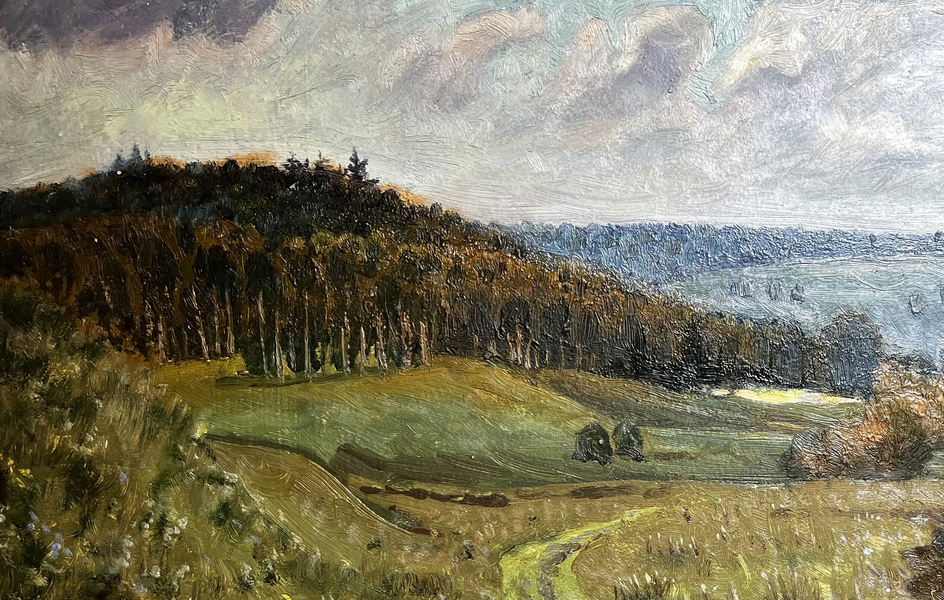 Oil painting Silence by unknown artist: green hillside, dark trees, cloudy sky
