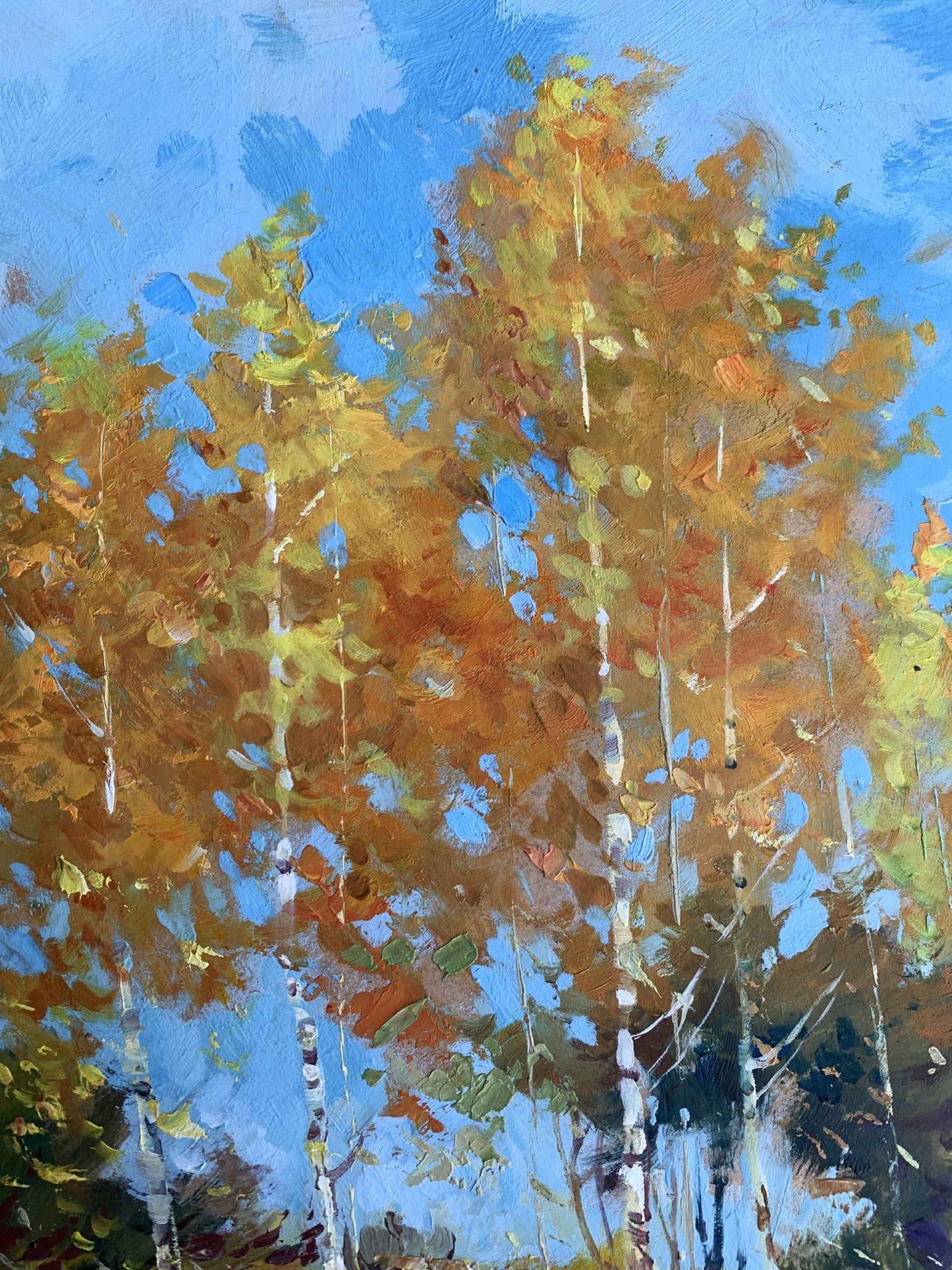 Vibrant impressionist oil painting of orange birch forest by Yuriy Suprunchuk