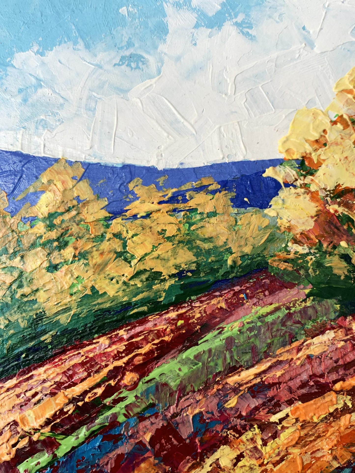 Oil painting Autumn days in the mountains by V. Zadorozhnya