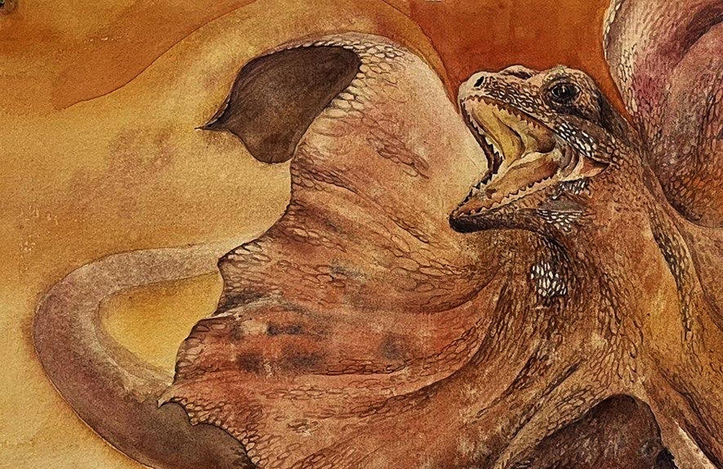 Detailed watercolor painting of Cloaked Lizard by Dmytro Startsev