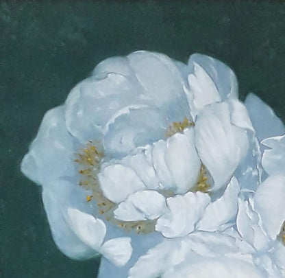 Oil painting of delicate white peony by Vasily Korkishko