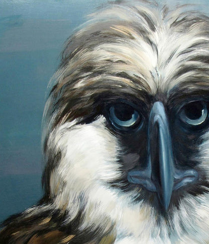 Animals Portrait 