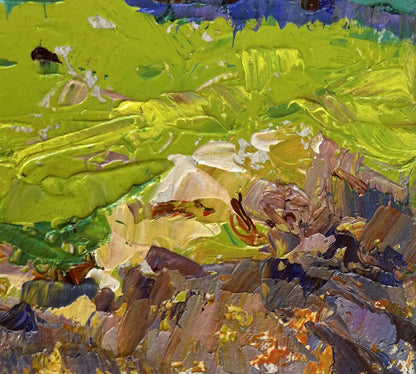 Vibrant impressionist spring meadows oil painting by Oleksiy Ivanyuk