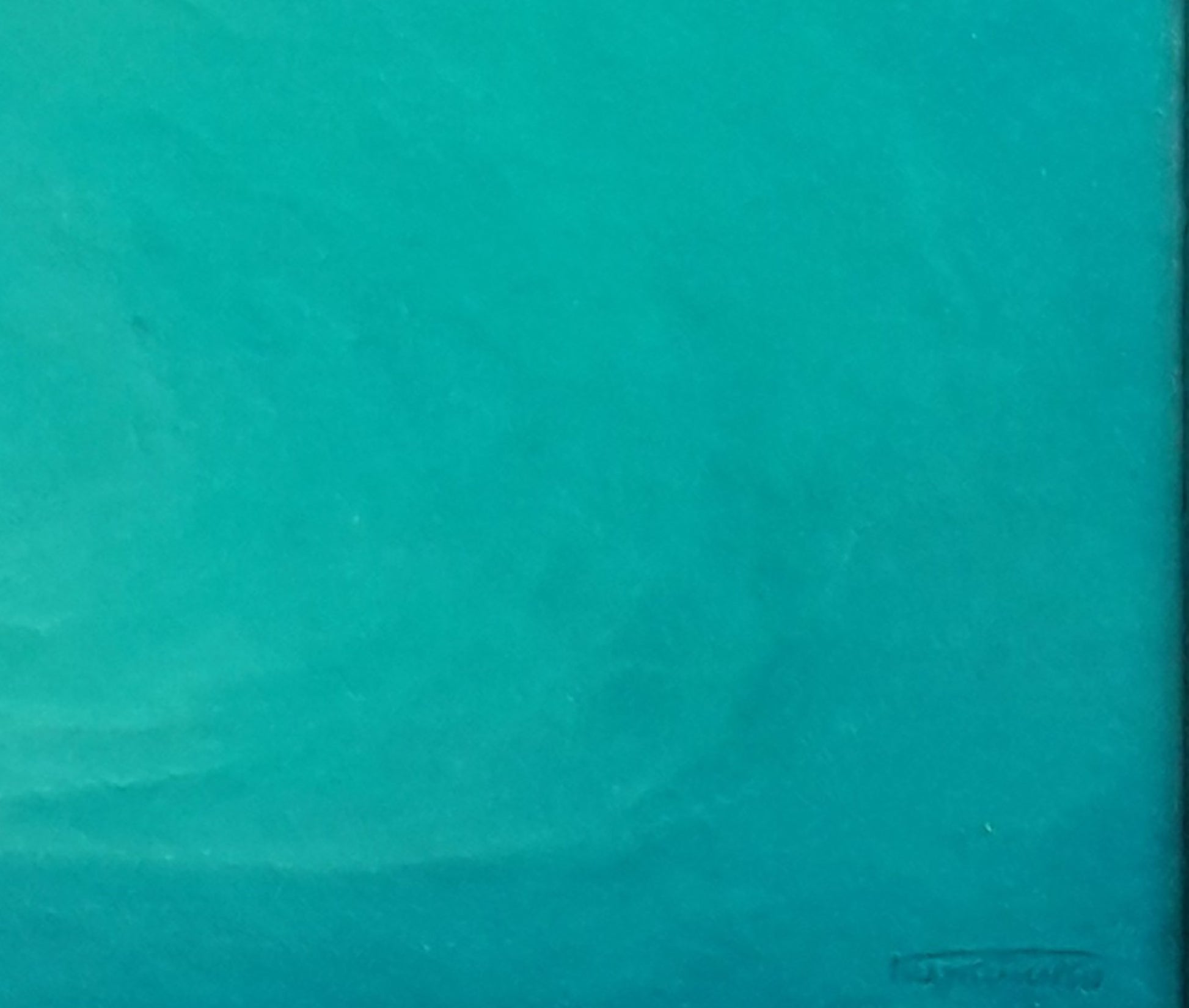 Solid teal matte textured fabric for Vasily Korkishko oil painting The silence of the depths of the seabed