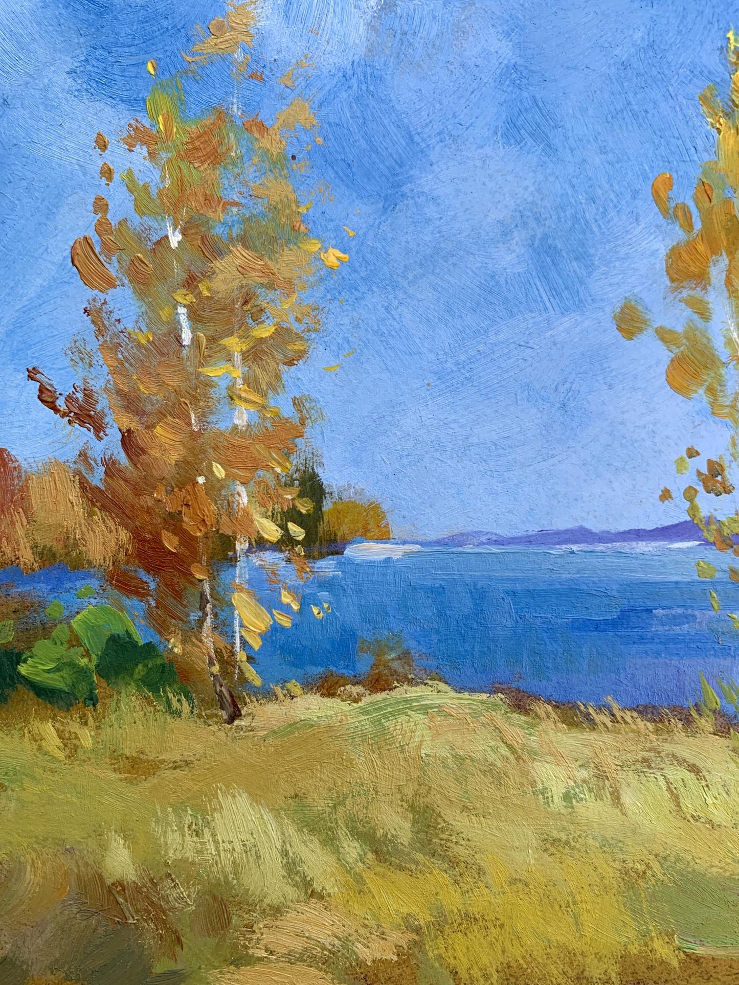 Oil painting Early autumn morning by Yuriy Suprunchuk: golden birch against blue sky