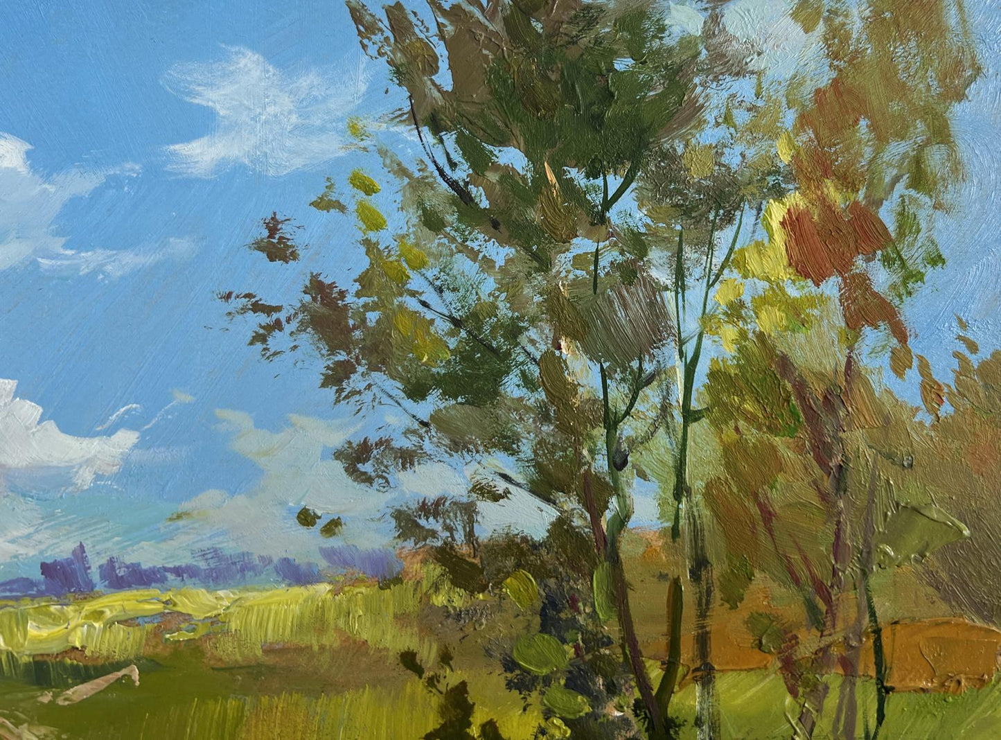 Vibrant impressionist tree painting by Yuriy Suprunchuk in Oil painting Take a swim in a summer lake