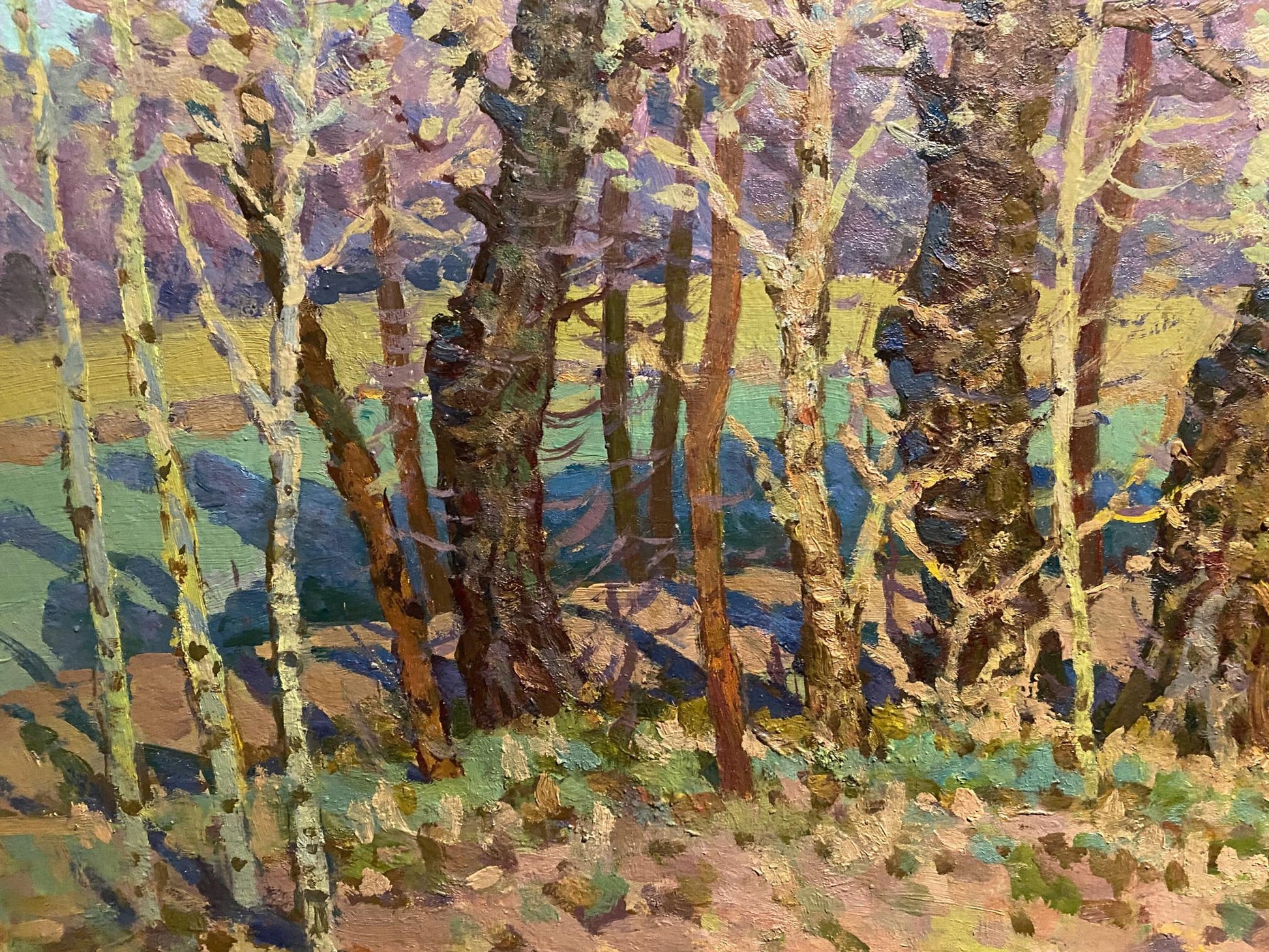 Oil painting Evening in the spring forest by Grigoriy Ruban, birch trees