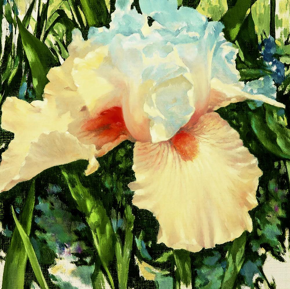 Delicate cream and light blue iris oil painting by Vasily Korkishko