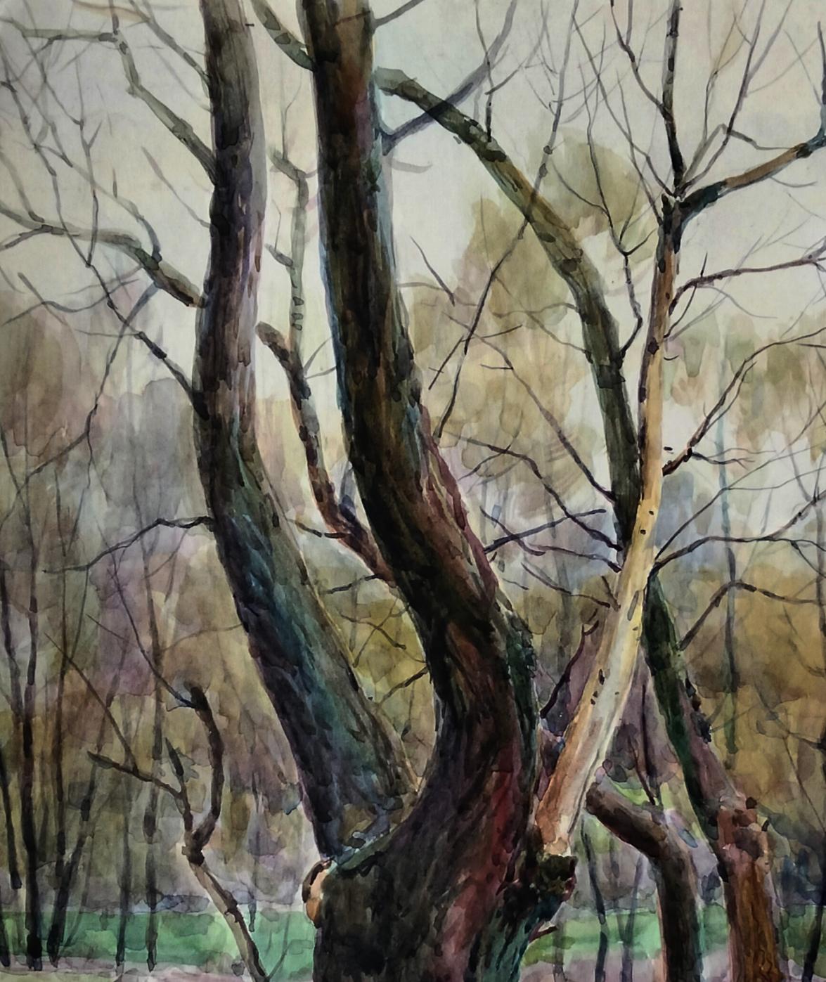Watercolor painting of gnarled tree trunks by Vitaly Duhnevich