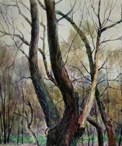 Watercolor painting of gnarled tree trunks by Vitaly Duhnevich