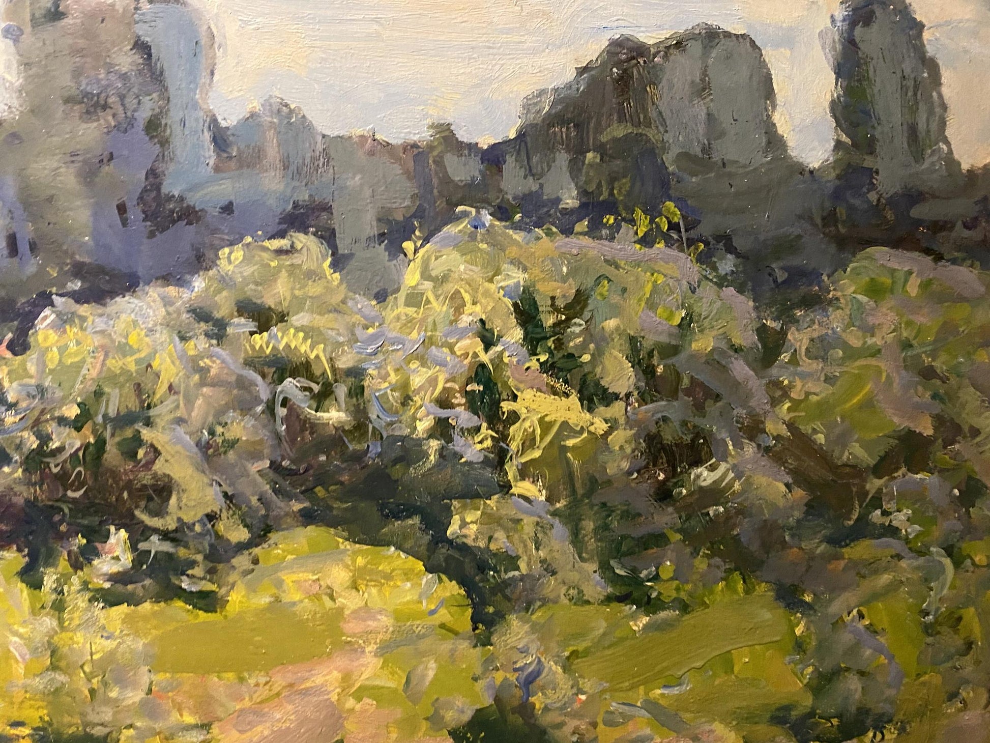 Oil painting Morning by Georgy Kolosovsky: sunlit wildflowers and rocks