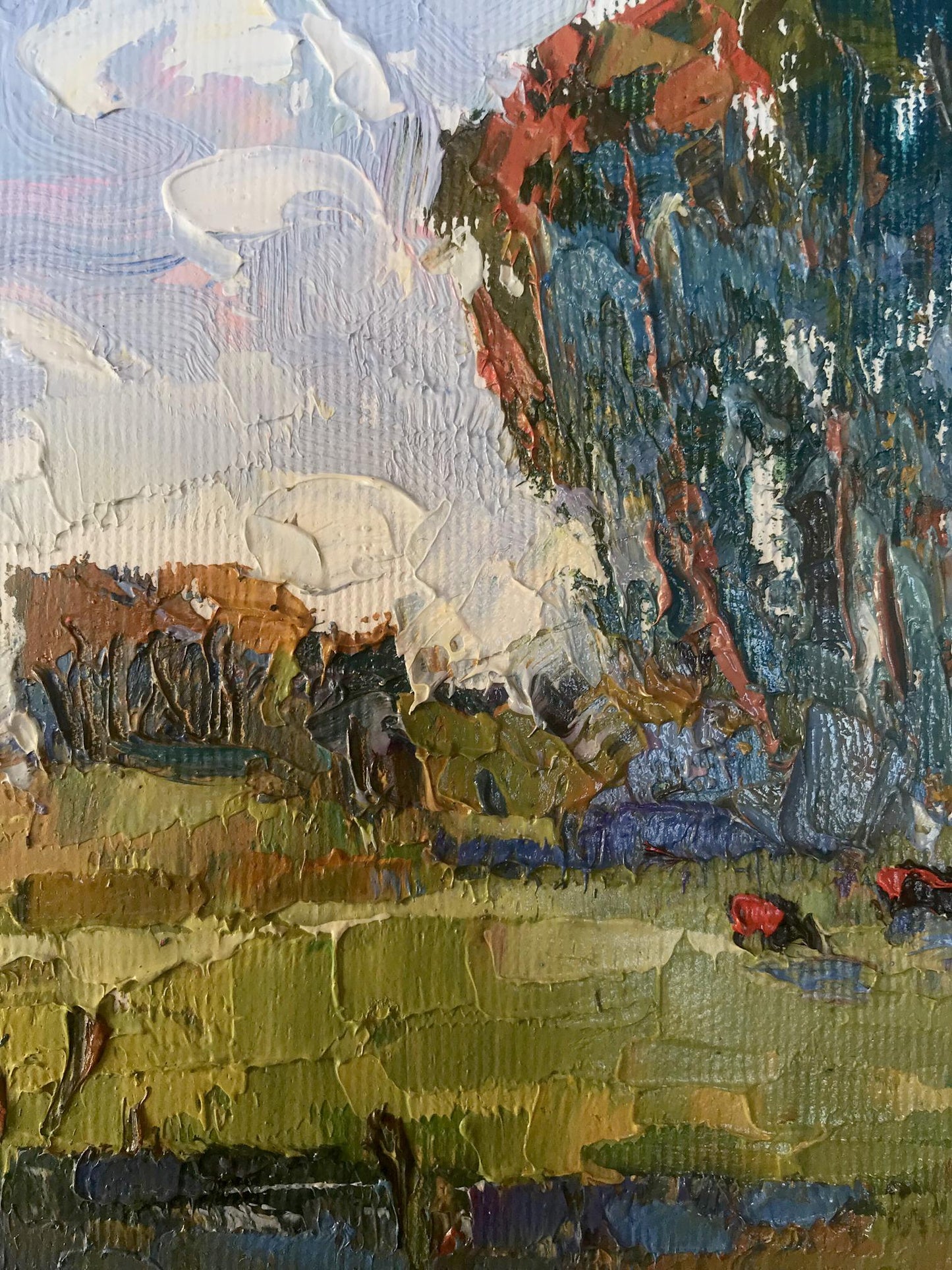 Rural landscape 